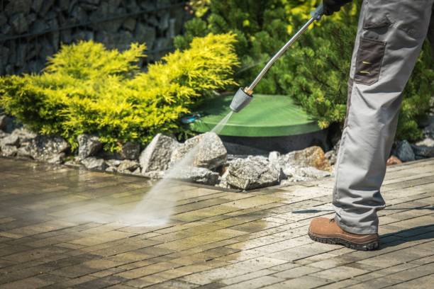 Best Fence Cleaning  in Levelland, TX