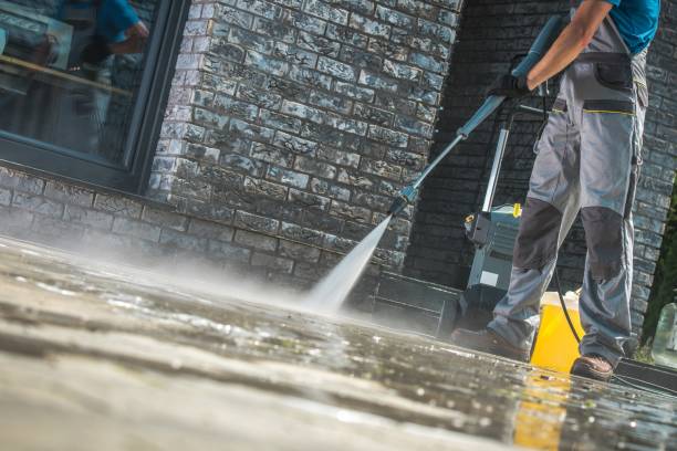 Animal Enclosure Cleaning in Levelland, TX